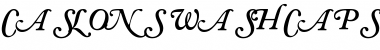 Download CaslonSwashCapsSSK SemiBoldItalic Font Title Preview