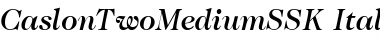 Download CaslonTwoMediumSSK Italic Font Title Preview