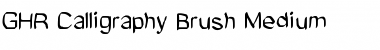Download GHR Calligraphy Brush Medium Font Title Preview