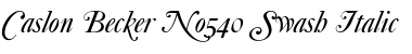 Download Caslon Becker No540 Swash Italic Font Title Preview