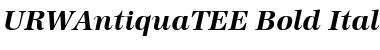 Download URWAntiquaTEE Bold Italic Font