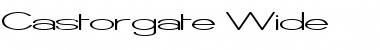 Download Castorgate Wide Regular Font Title Preview