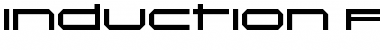 Download Induction Regular Font Title Preview