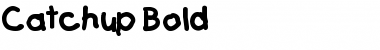 Download Catchup Bold Font Title Preview