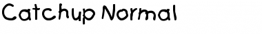 Download Catchup Normal Font Title Preview