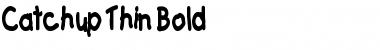 Download Catchup Thin Bold Font Title Preview