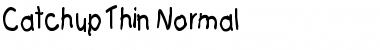 Download Catchup Thin Normal Font Title Preview