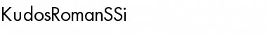 Download KudosRomanSSi Regular Font Title Preview