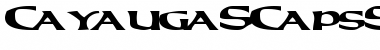Download CayaugaSCapsSSK Bold Font Title Preview