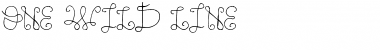 Download One Wild Line Regular Font Title Preview