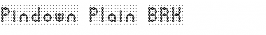 Download Pindown Plain BRK Normal Font Title Preview