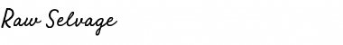 Download Raw Selvage - Demo Regular Font Title Preview
