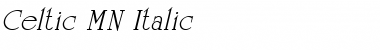 Download Celtic MN Italic Font Title Preview