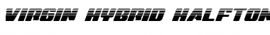 Download Virgin Hybrid Halftone Regular Font Title Preview