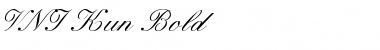 Download VNI-Kun Bold Font Title Preview