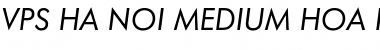 Download VPS Ha Noi Medium Hoa Italic Font Title Preview