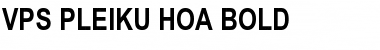 Download VPS Pleiku Hoa Bold Font Title Preview