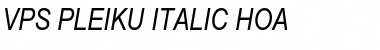 Download VPS Pleiku Hoa Italic Font Title Preview