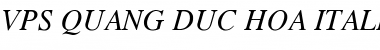 Download VPS Quang Duc Hoa Italic Font Title Preview