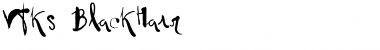 Download Vtks BlackHair Regular Font Title Preview