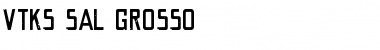 Download VTKS SAL GROSSO Regular Font Title Preview