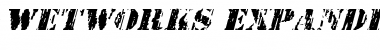 Download Wetworks Expanded Italic Expanded Italic Font Title Preview