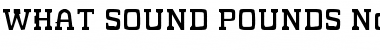 Download WHAT SOUND POUNDS? Regular Font Title Preview