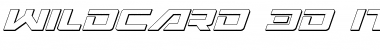 Download Wildcard 3D Italic Italic Font Title Preview