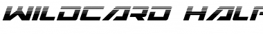 Download Wildcard Halftone Italic Italic Font Title Preview