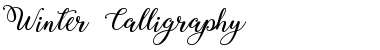 Download Winter Calligraphy Regular Font Title Preview