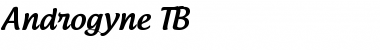 Download Androgyne Regular Font Title Preview