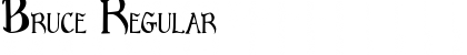 Download Bruce Regular Font Title Preview