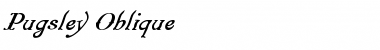 Download Pugsley Oblique Font Title Preview