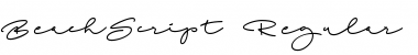 Download Beach Script Regular Font Title Preview
