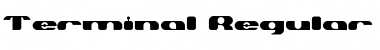 Download Terminal Regular Font Title Preview