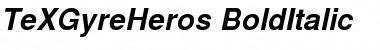 Download TeX Gyre Heros Bold Italic Font Title Preview