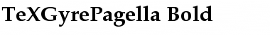 Download TeX Gyre Pagella Bold Font Title Preview