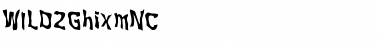 Download WILD2 Ghixm NC Regular Font Title Preview