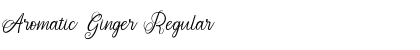 Download Aromatic Ginger Regular Font Title Preview
