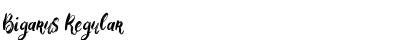 Download Bigarus Regular Font Title Preview