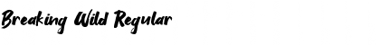 Download Breaking Wild Regular Font Title Preview