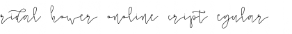 Download Bridal Shower Monoline Script Regular Font Title Preview