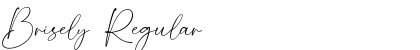 Download Brisely Regular Font Title Preview
