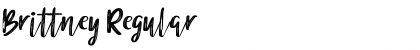 Download Brittney Regular Font Title Preview