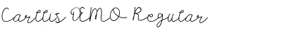 Download Carllis DEMO Regular Font Title Preview