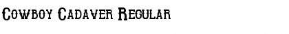 Download Cowboy Cadaver Regular Font Title Preview