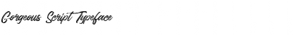 Download Gorgeous Script Typeface Font Title Preview