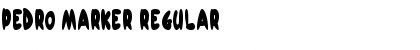 Download Pedro Marker Regular Font Title Preview