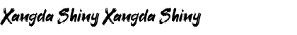 Download Xangda Shiny Font