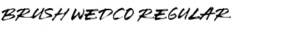Download Brush Wedco Regular Font Title Preview
